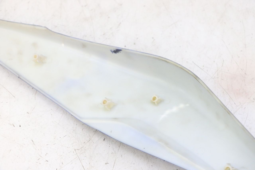 photo de CARENADO TRASERO DERECHA STAHO FH 50 (2018 - 2019) - Primer plano técnico