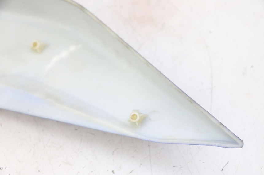 photo de CARENADO TRASERO DERECHA STAHO FH 50 (2018 - 2019) - Vista general del producto