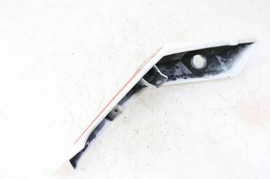 photo de CARENADO TRASERO IZQUIERDA BMW G310 R 310 (2016 - 2020) - Primer plano técnico