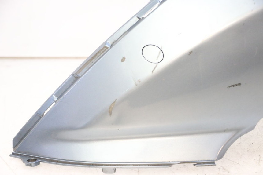 photo de CARENADO TRASERO IZQUIERDA DAELIM HISTORY 125 (2001 - 2002) - Zoom sobre los componentes