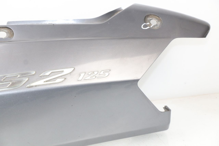 photo de CARENADO TRASERO IZQUIERDA DAELIM S2 125 (2006 - 2007) - Enfoque en la estructura