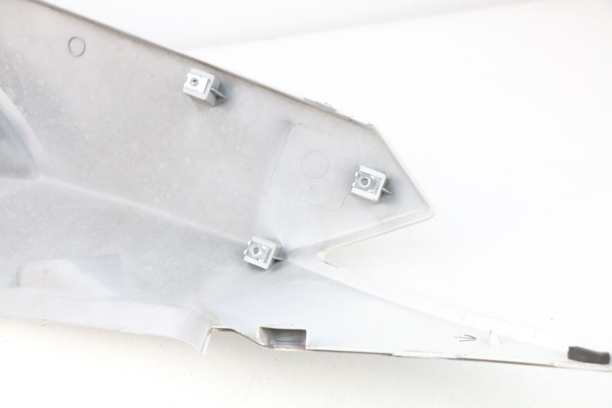 photo de FLANCO TRASERO IZQUIERDO DAELIM S3 125 (2010 - 2017) - Vista general del producto