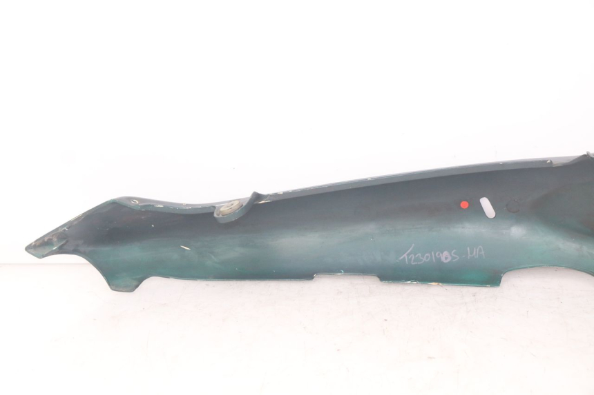 photo de FLANCO TRASERO IZQUIERDO TRIUMPH SPRINT ST 955 (1999 - 2001) - Primer plano técnico