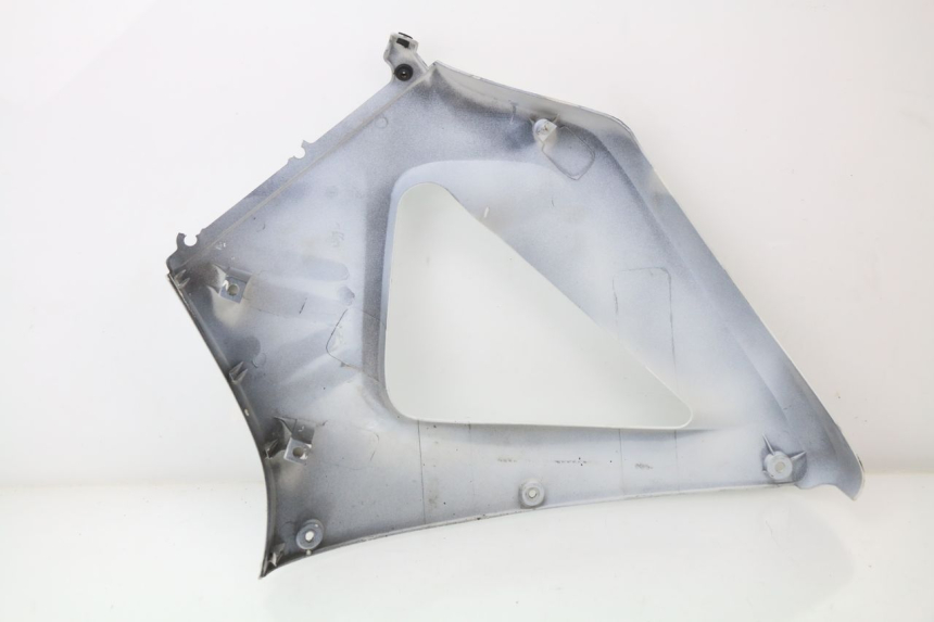 photo de CARENADO DELANTERO DERECHO HONDA CBR 929 RR FIREBLADE 900 (2000 - 2001) - Detalle de la pieza
