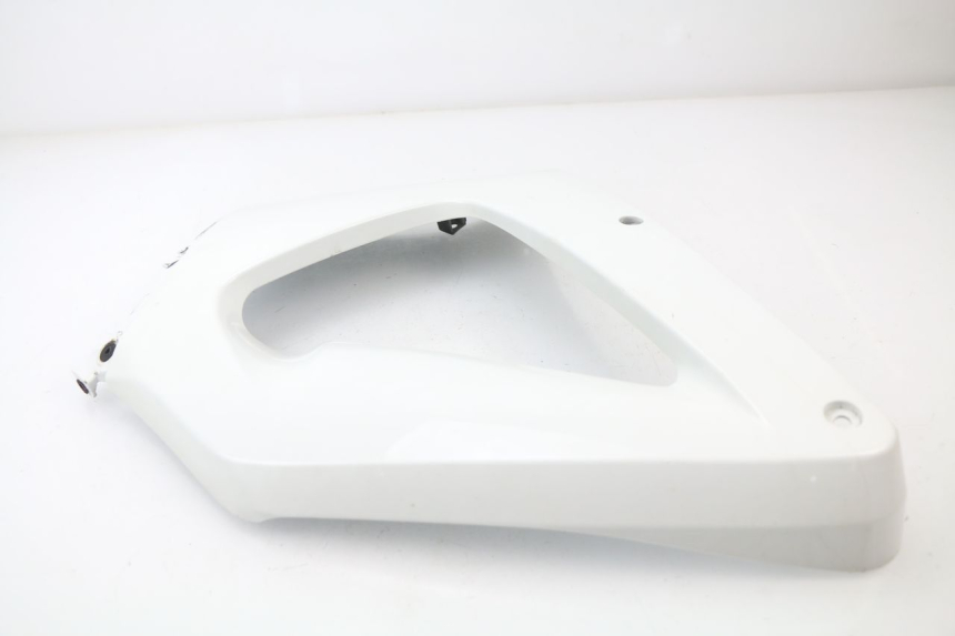photo de CARENADO DELANTERO DERECHO HONDA CBR 929 RR FIREBLADE 900 (2000 - 2001) - Primer plano técnico