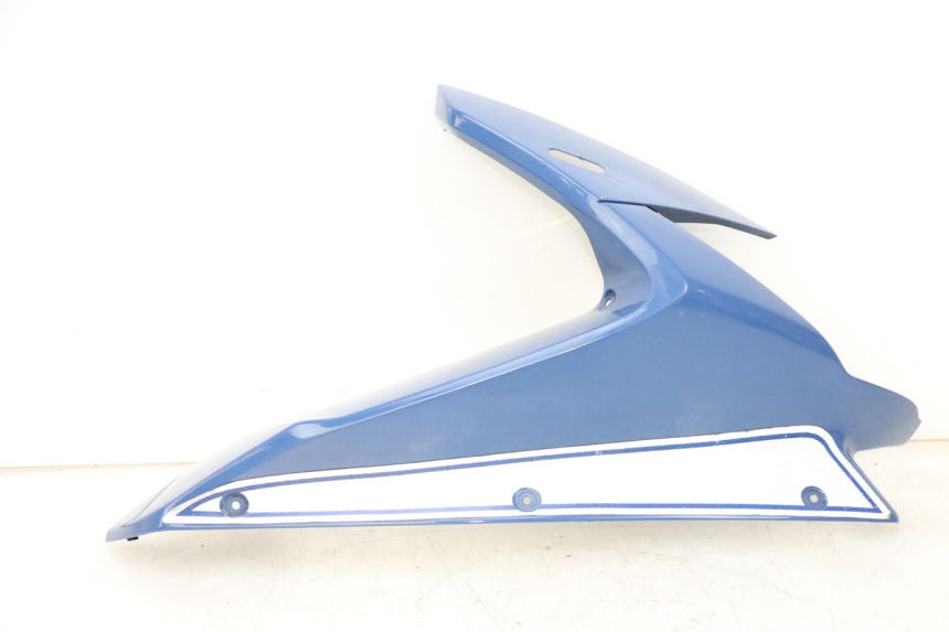 photo de CARENADO DELANTERO DERECHO YAMAHA FJR ABS 1300 (2006 - 2012) - Vista principal