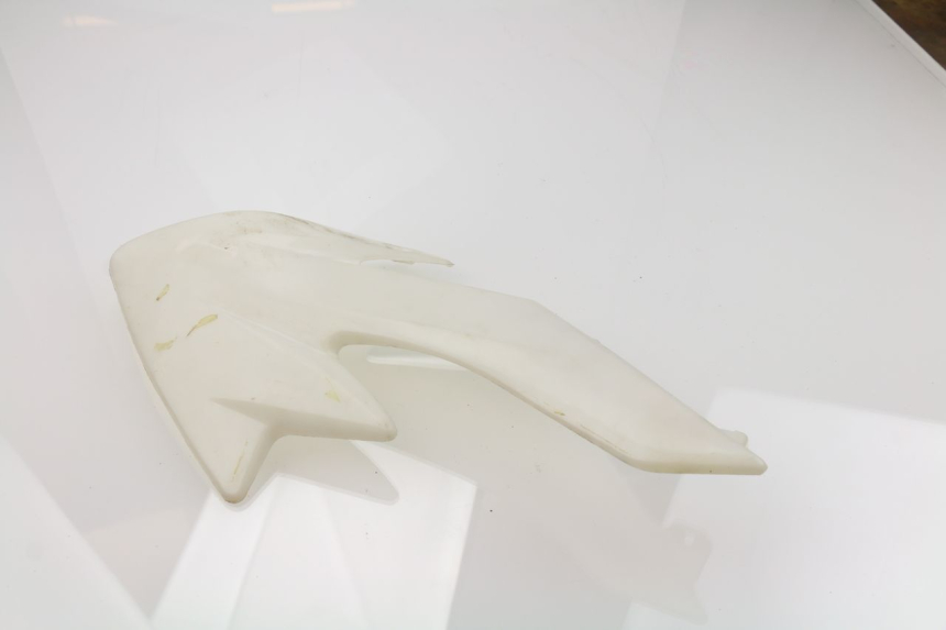 photo de CARENADO DELANTERO IZQUIERDO APOLLO DIRT BIKE 125 (2010 - 2018) - Otra perspectiva