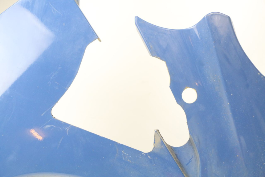 photo de CARENADO DELANTERO IZQUIERDO YAMAHA FJR ABS 1300 (2006 - 2012) - Enfoque en la estructura