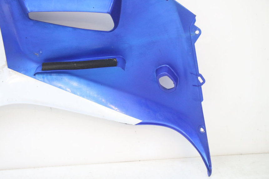 photo de CARENADO DELANTERO IZQUIERDO SUZUKI GSX F GSXF 650 (2007 - 2015) - Primer plano de alta resolución