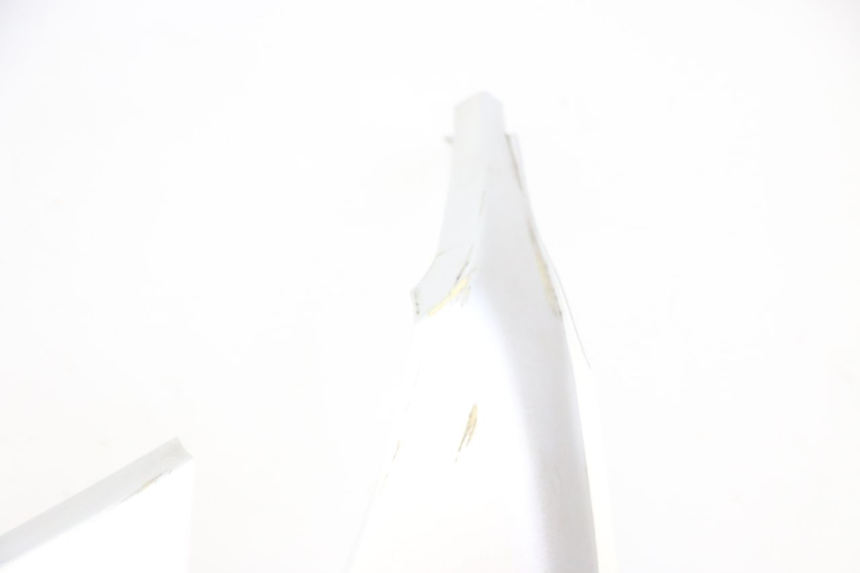 photo de CARENADO DELANTERO IZQUIERDO PEUGEOT CITYSTAR 2T 50 (2018 - 2021) - Enfoque en la estructura