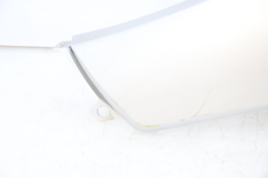 photo de CARENADO DELANTERO IZQUIERDO PEUGEOT CITYSTAR 2T 50 (2018 - 2021) - Zoom calidad de ocasión