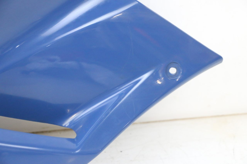 photo de FLANCO LATERAL DELANTERO IZQUIERDO YAMAHA TDM ABS 900 (2002 - 2014) - Primer plano de alta resolución