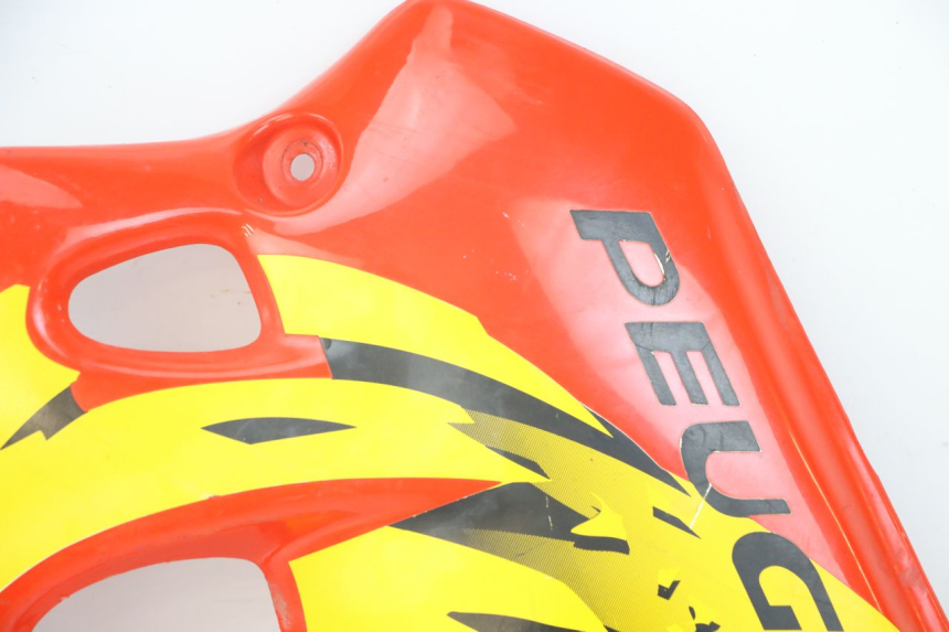 photo de FLANCO LATERAL DELANTERO IZQUIERDO PEUGEOT XP6 50 (1997 - 2003) - Estado de la superficie y material