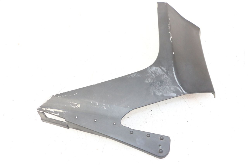 photo de CARENADO DELANTERO IZQUIERDO YAMAHA X-MAX XMAX ABS 250 (2010 - 2014) - Vista general del producto