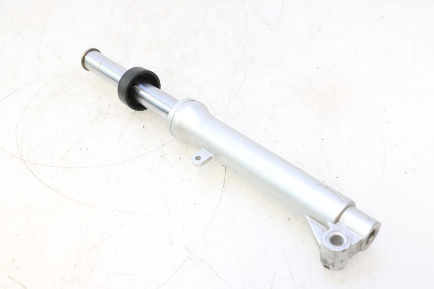 photo de BOTELLA HORQUILLA DERECHA  TNT MOTOR ROMA 10' 2T 50 (2011 - 2018) - Primer plano técnico