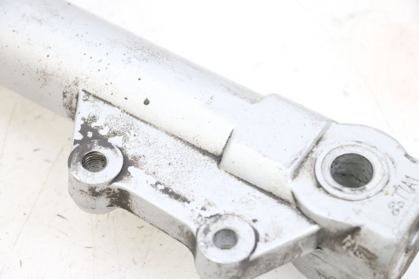 photo de BOTELLA HORQUILLA IZQUIERDA PIAGGIO FLY 4T 50 (2013 - 2017) - Primer plano técnico