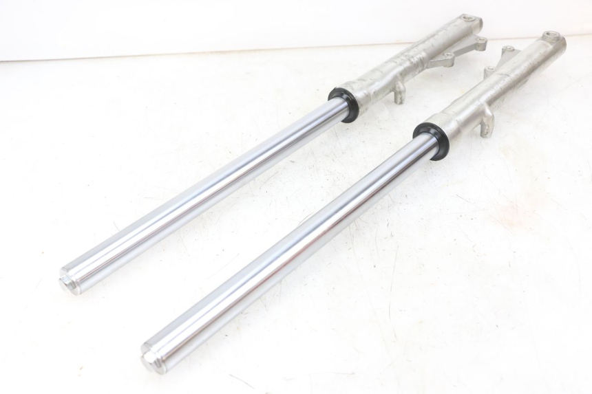 photo de BOTELLA HORQUILLA  REGAL RAPTOR RAXTER 2 125 (2007 - 2015) - Estado de la superficie y material