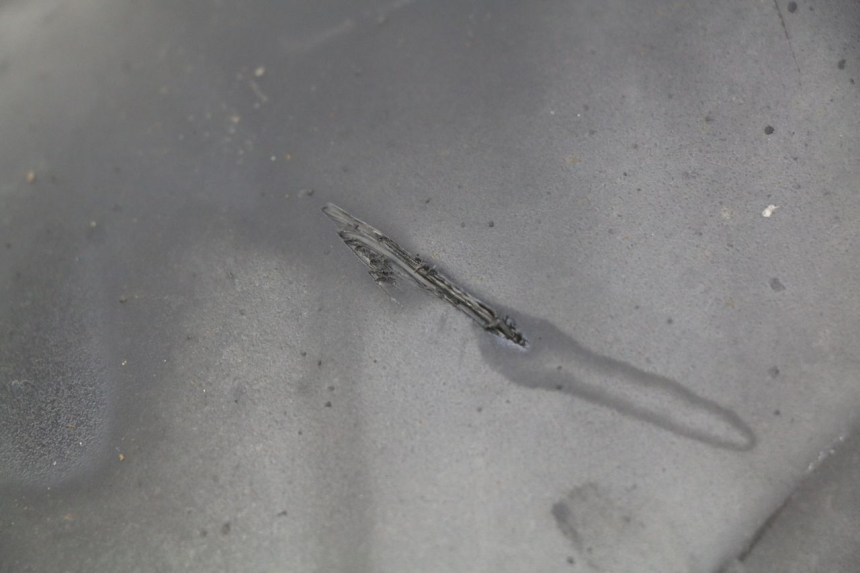 photo de GUARDABARROS TRASERO HONDA FORZA 125 (2015 - 2016) - Detalle de la pieza