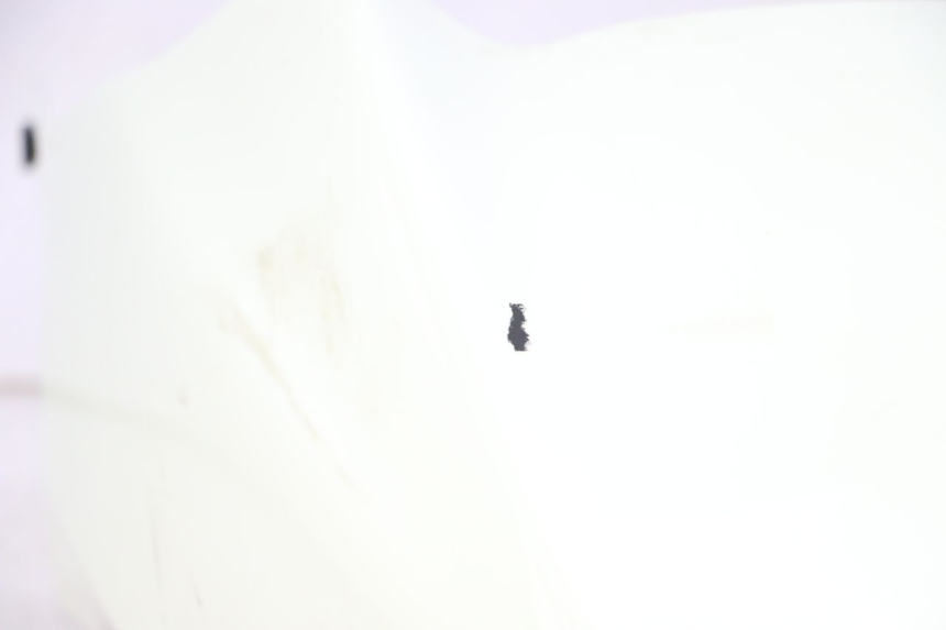 photo de GUARDABARROS DELANTERO BMW C1 125 (2000 - 2003) - Primer plano de alta resolución