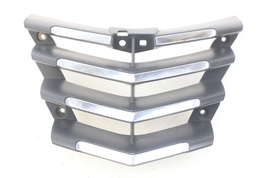 photo de REJILLA DEL RADIADOR PEUGEOT CITYSTAR 125 (2011 - 2017) - Vista principal