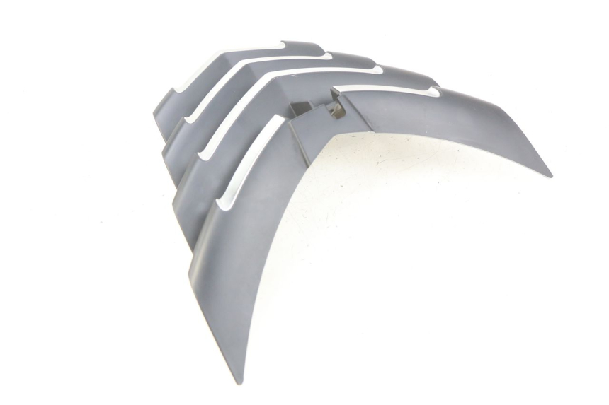 photo de REJILLA DEL RADIADOR PEUGEOT CITYSTAR 125 (2011 - 2017) - Zoom estado de uso