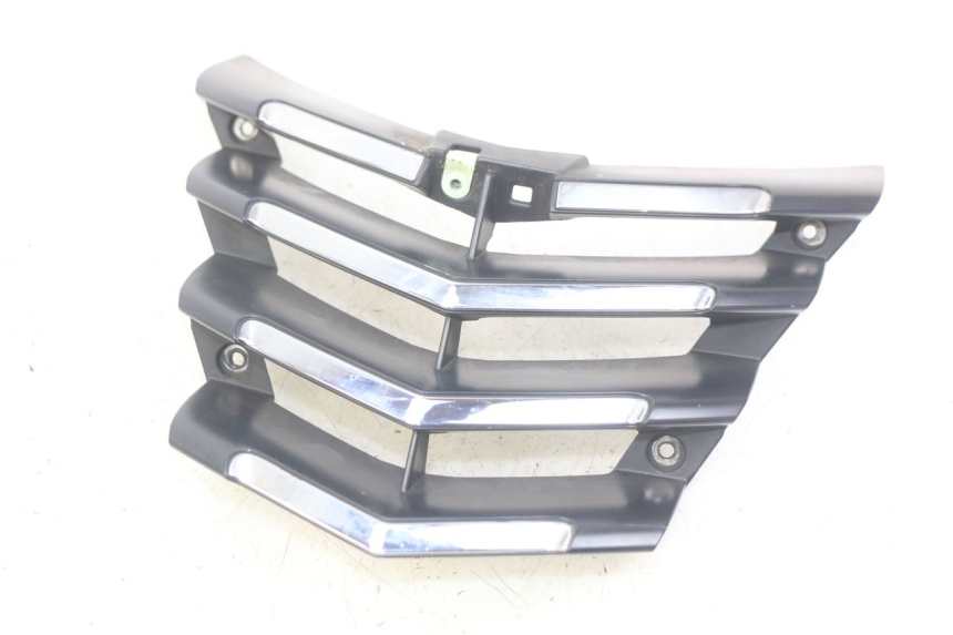 photo de REJILLA DEL RADIADOR PEUGEOT CITYSTAR 125 (2011 - 2017) - Vista principal