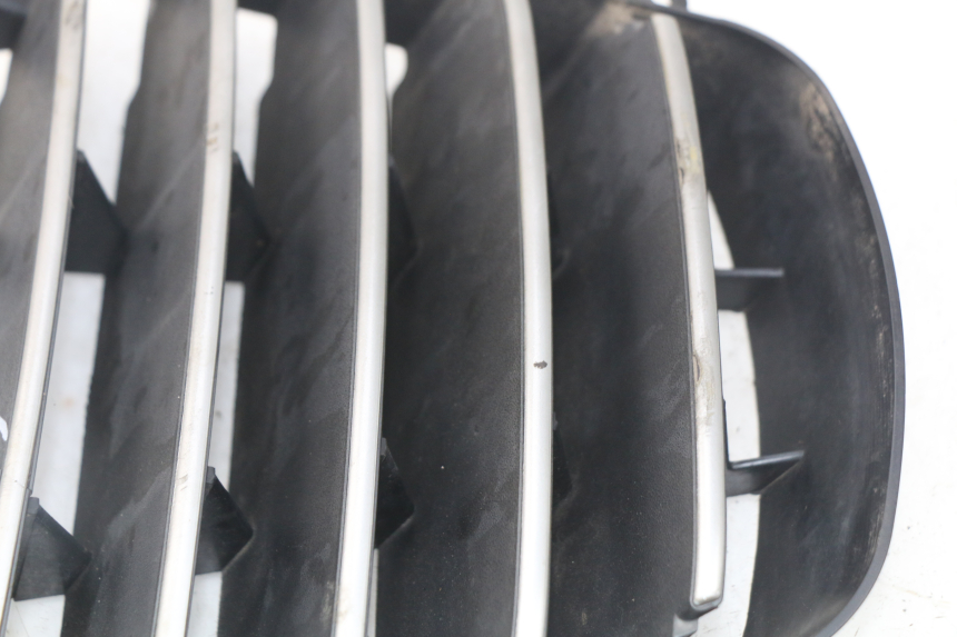 photo de REJILLA DEL RADIADOR PIAGGIO MP3 125 (2006 - 2014) - Vista general del producto