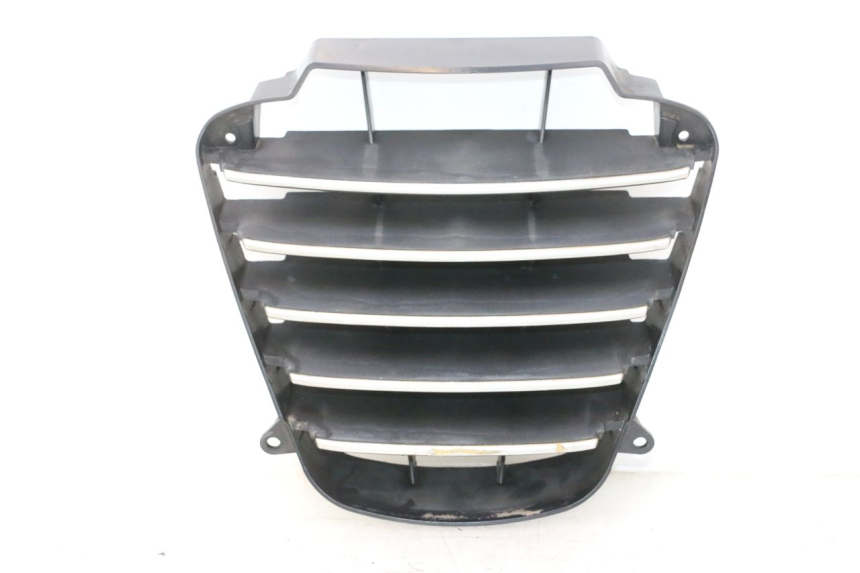 photo de REJILLA DEL RADIADOR PIAGGIO MP3 125 (2006 - 2014) - Vista principal