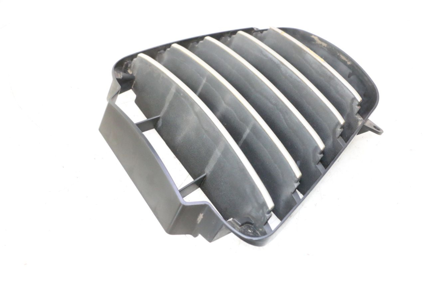 photo de REJILLA DEL RADIADOR PIAGGIO MP3 125 (2006 - 2014) - Primer plano técnico