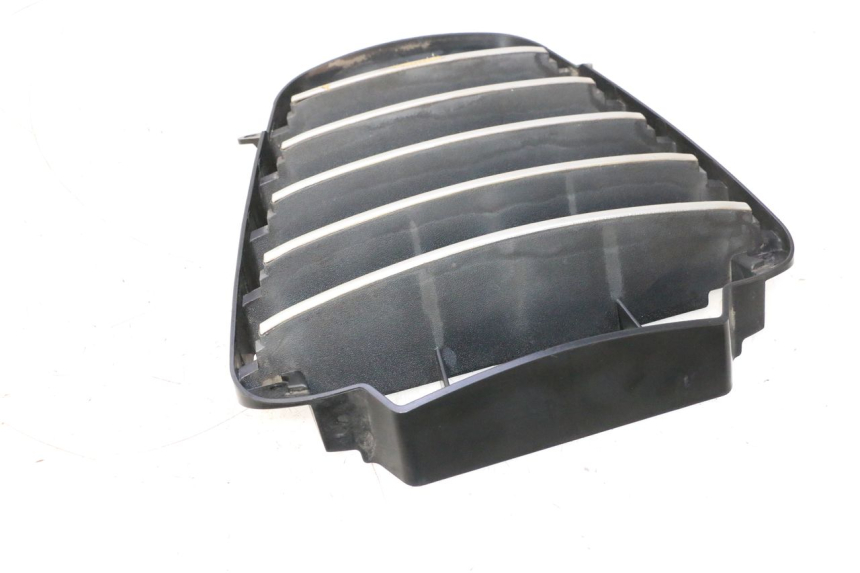 photo de REJILLA DEL RADIADOR PIAGGIO MP3 125 (2006 - 2014) - Vista general del producto