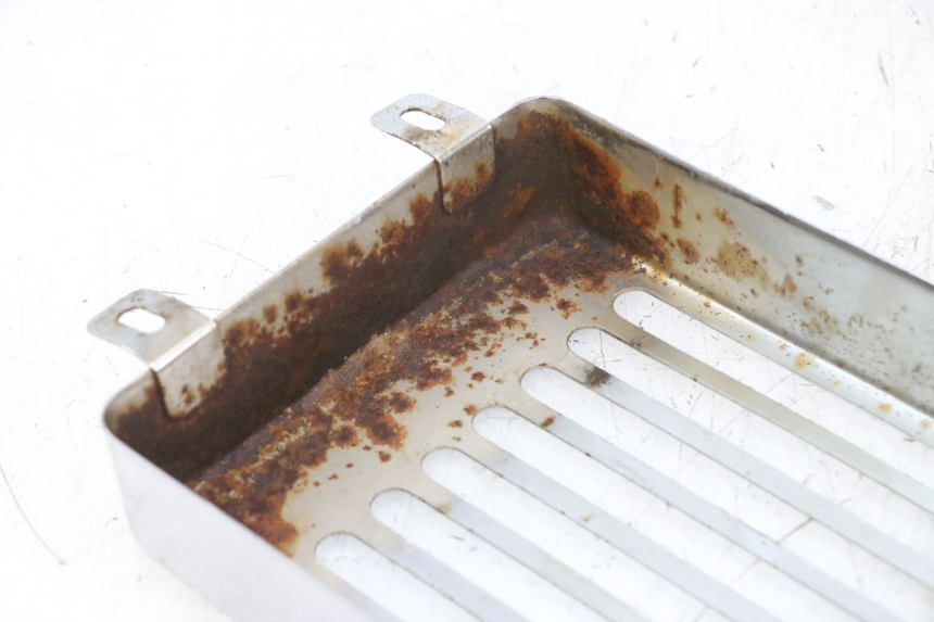 photo de RADIADOR CUBIERTA REGAL RAPTOR RAXTER 2 125 (2007 - 2015) - Otra perspectiva