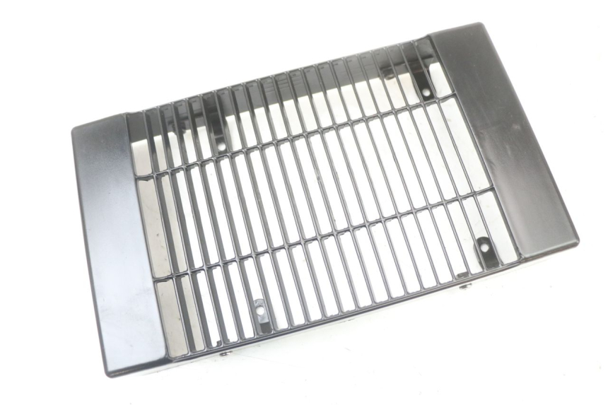 photo de RADIADOR CUBIERTA REGAL RAPTOR SPYDER 125 (2010 - 2018) - Zoom estado de uso