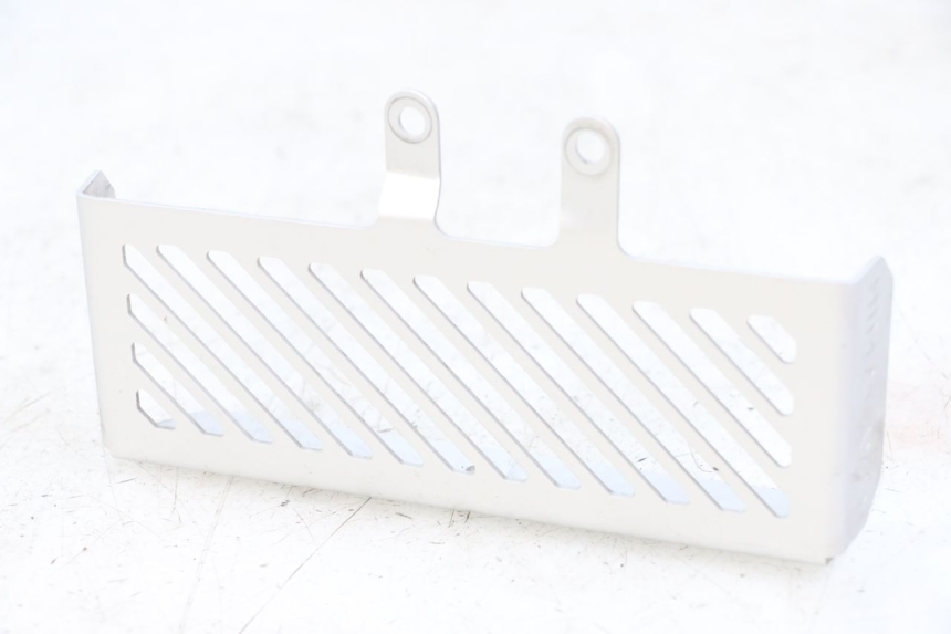 photo de RADIADOR CUBIERTA ROYAL ENFIELD HYMALAYAN 410 (2016 - 2023) - Vista principal