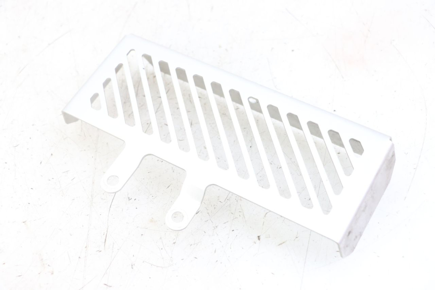 photo de RADIADOR CUBIERTA ROYAL ENFIELD HYMALAYAN 410 (2016 - 2023) - Primer plano técnico