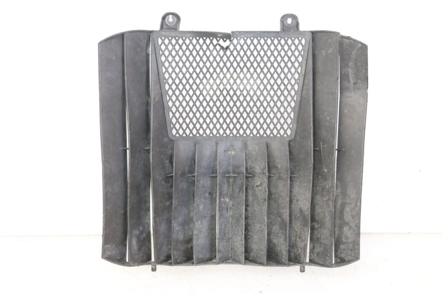 photo de RADIADOR CUBIERTA KTM SUPERENDURO R 950 (2005 - 2009) - Vista principal