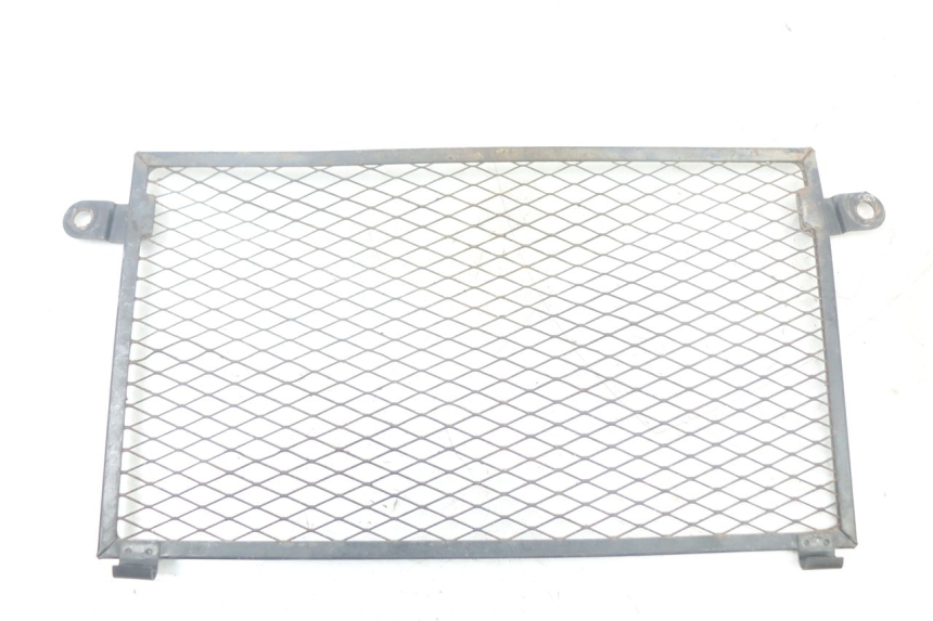 photo de REJILLA DEL RADIADOR YAMAHA TDM ABS 900 (2002 - 2014) - Vista principal