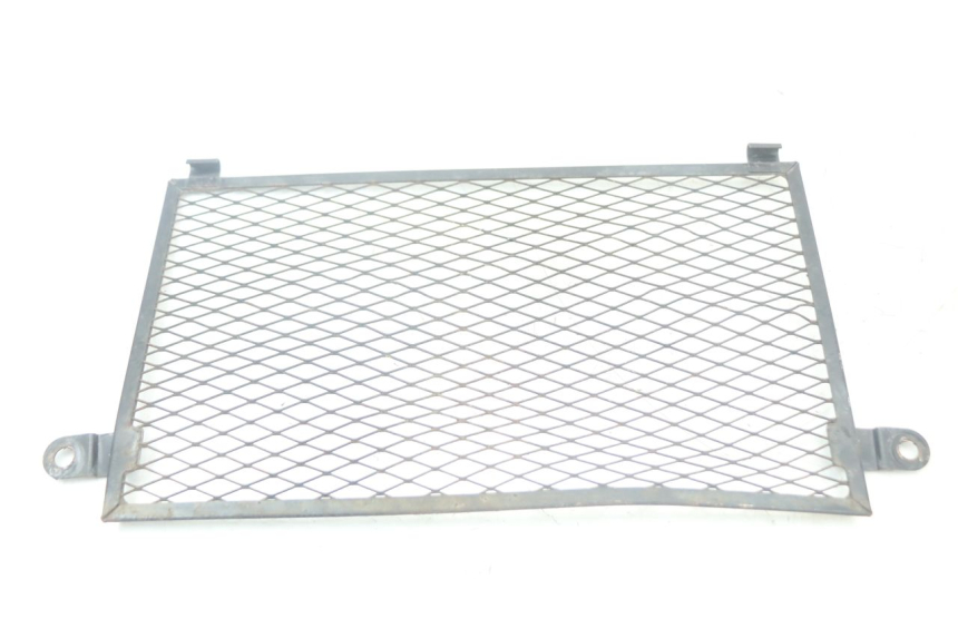 photo de REJILLA DEL RADIADOR YAMAHA TDM ABS 900 (2002 - 2014) - Detalle de la pieza