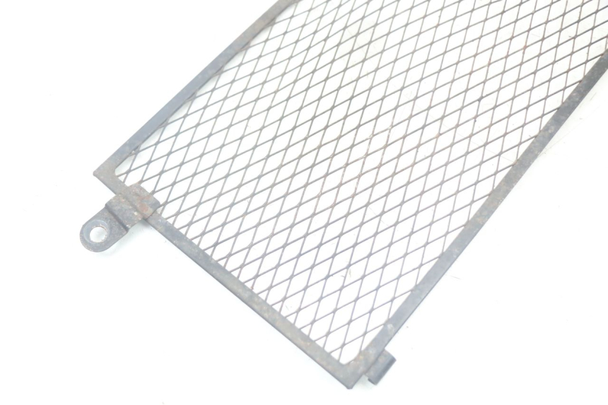 photo de REJILLA DEL RADIADOR YAMAHA TDM ABS 900 (2002 - 2014) - Zoom estado de uso