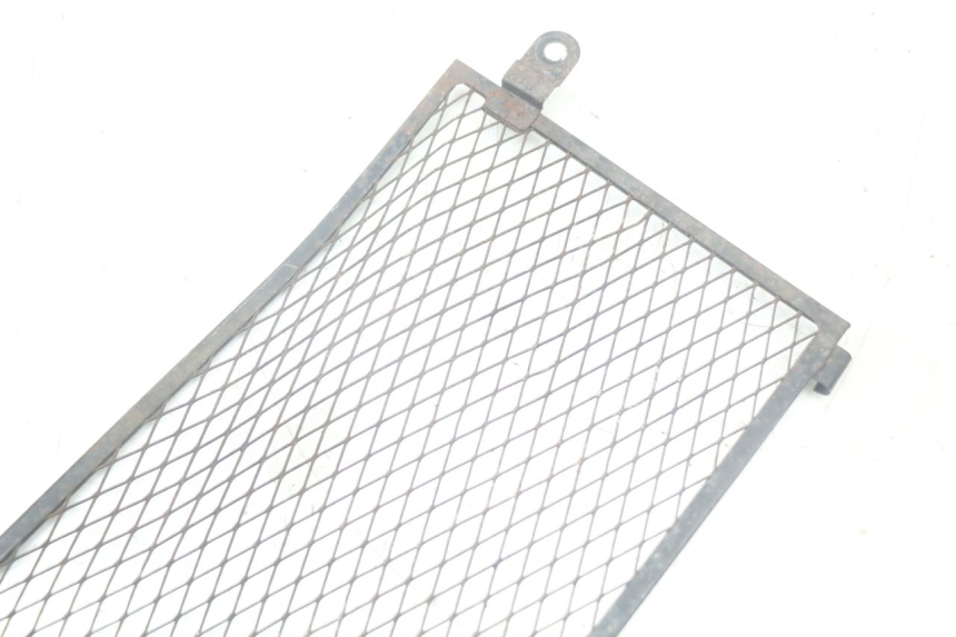 photo de REJILLA DEL RADIADOR YAMAHA TDM ABS 900 (2002 - 2014) - Otra perspectiva