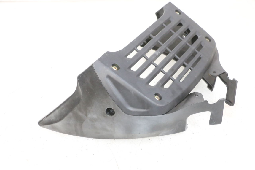 photo de REJILLA DEL RADIADOR DAELIM VJ ROADWIN FI 125 (2008 - 2017) - Vista principal