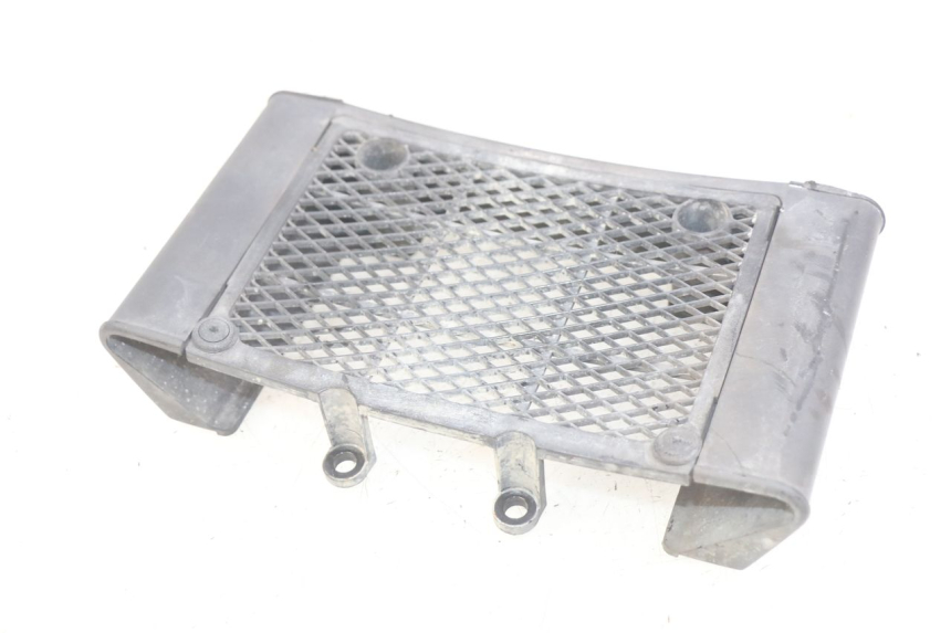 photo de REJILLA DEL RADIADOR DAELIM VL DAYSTAR 125 (2000 - 2011) - Otra perspectiva