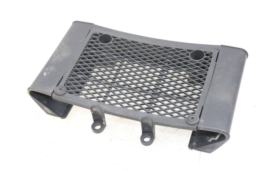 photo de REJILLA DEL RADIADOR DAELIM VL DAYSTAR 125 (2000 - 2011) - Otra perspectiva