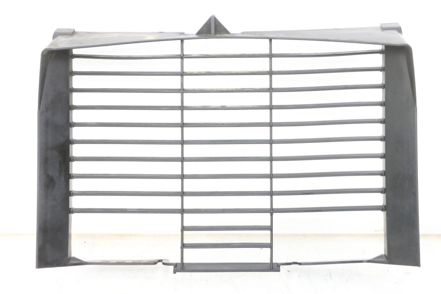 photo de RADIADOR CUBIERTA YAMAHA XJ6 ABS 600 (2008 - 2016) - Vista principal