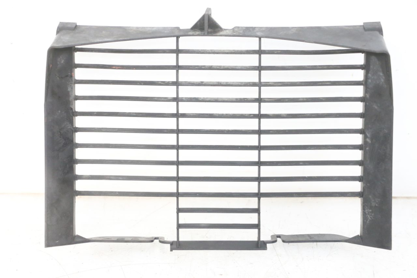 photo de RADIADOR CUBIERTA YAMAHA XJ6 ABS 600 (2008 - 2016) - Vista principal