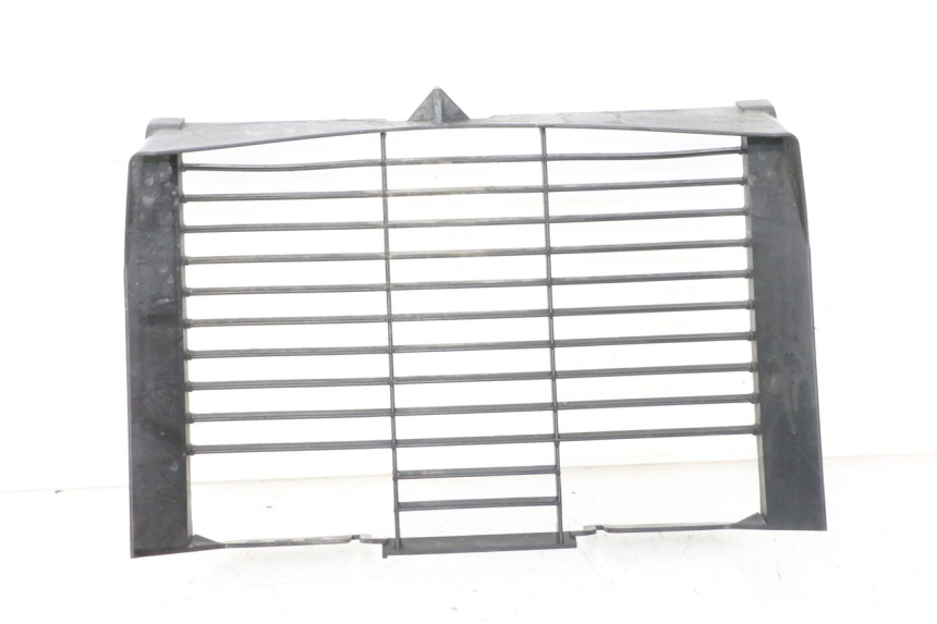 photo de RADIADOR CUBIERTA YAMAHA XJ6 ABS 600 (2008 - 2016) - Vista principal