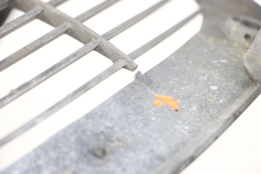 photo de REJILLA DEL RADIADOR YAMAHA X-MAX XMAX ABS 250 (2010 - 2014) - Zoom estado de uso