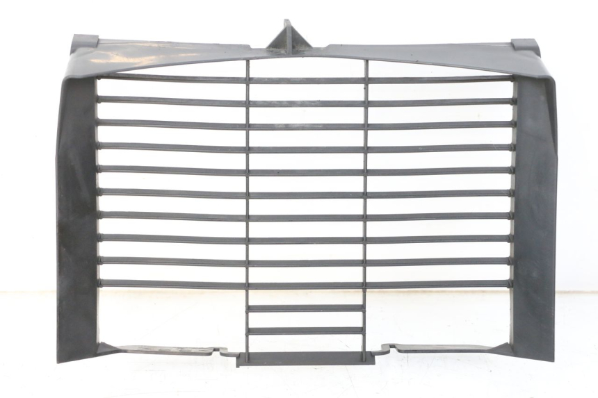 photo de RADIADOR CUBIERTA YAMAHA XJ6 600 (2008 - 2016) - Vista principal