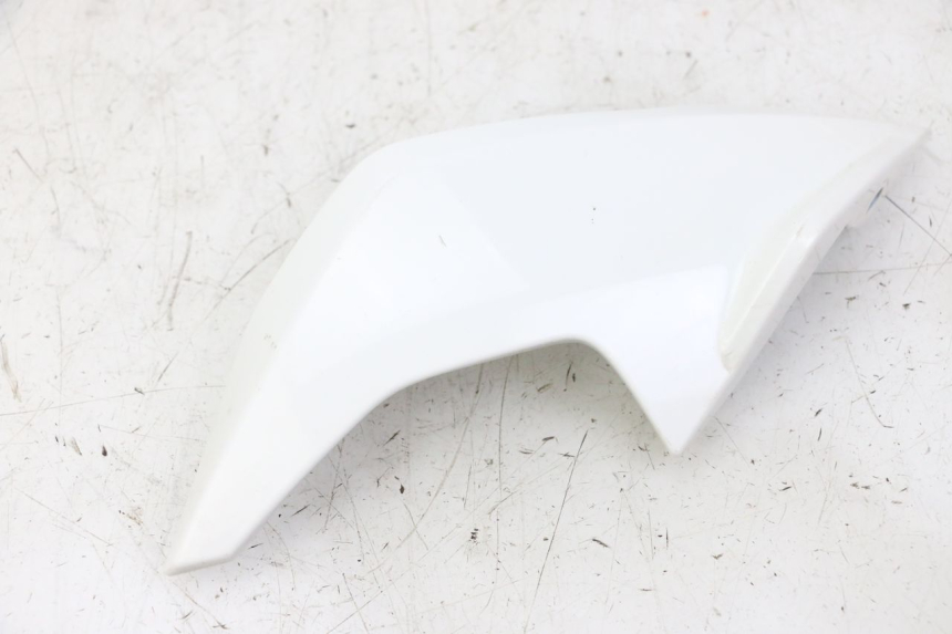 photo de CARENADO FRONTAL INTERIOR DERECHA BMW G310 R 310 (2016 - 2020) - Detalles de los puntos de fijación