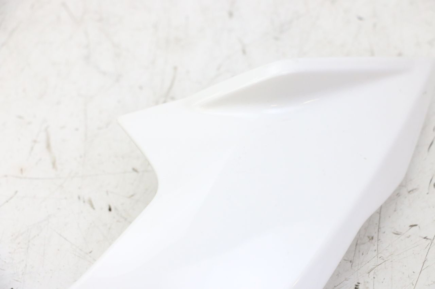 photo de CARENADO FRONTAL INTERIOR IZQUIERDA BMW G310 R 310 (2016 - 2020) - Primer plano técnico