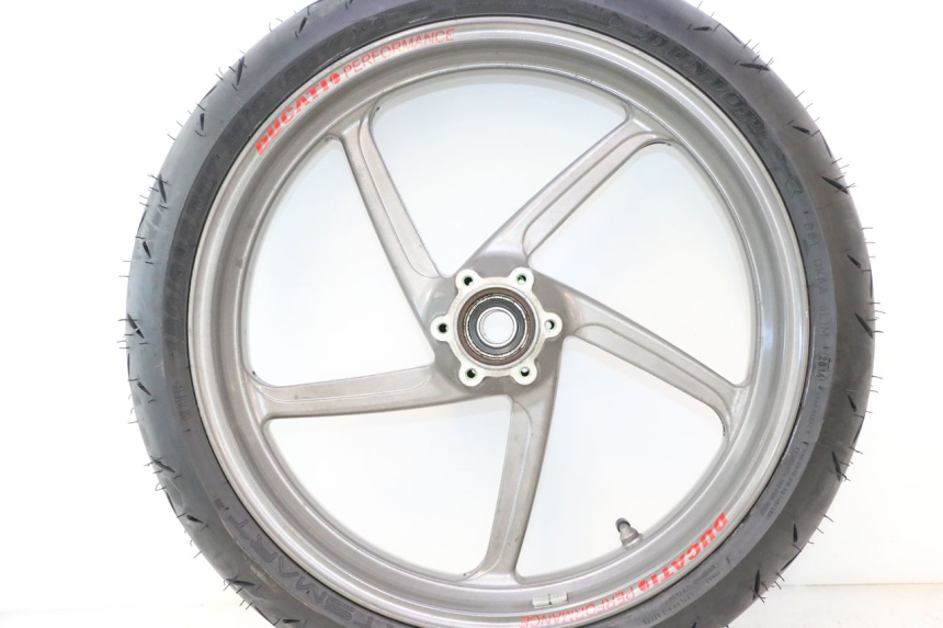 photo de LLANTA DELANTERA Y NEUMÁTICO DUCATI SS IE DS CARENEE 1000 (2002 - 2006) - Otra perspectiva
